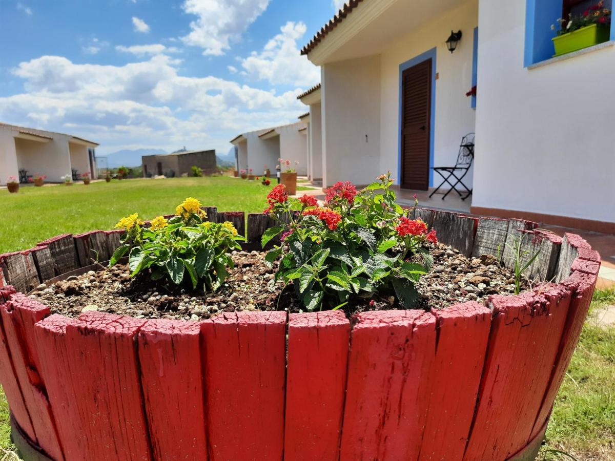 Agriturismo Orvile *