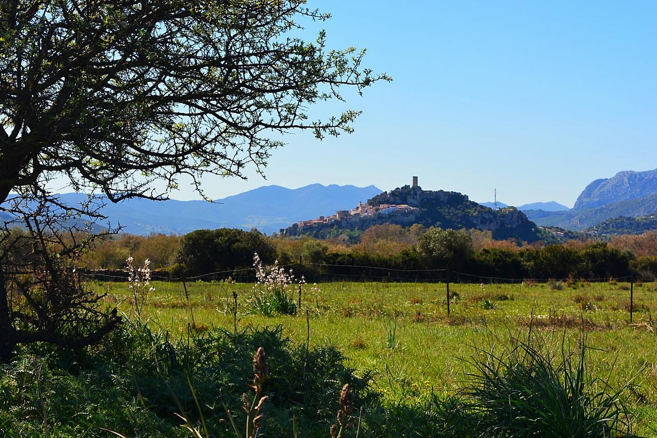 Agriturismo Orvile Alloggio per agriturismo Posada (Sardinia)